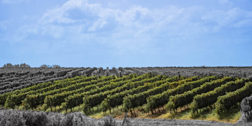 gran-terroir-1024x683-panorama-az gran-terroir-1024x683-panorama-az