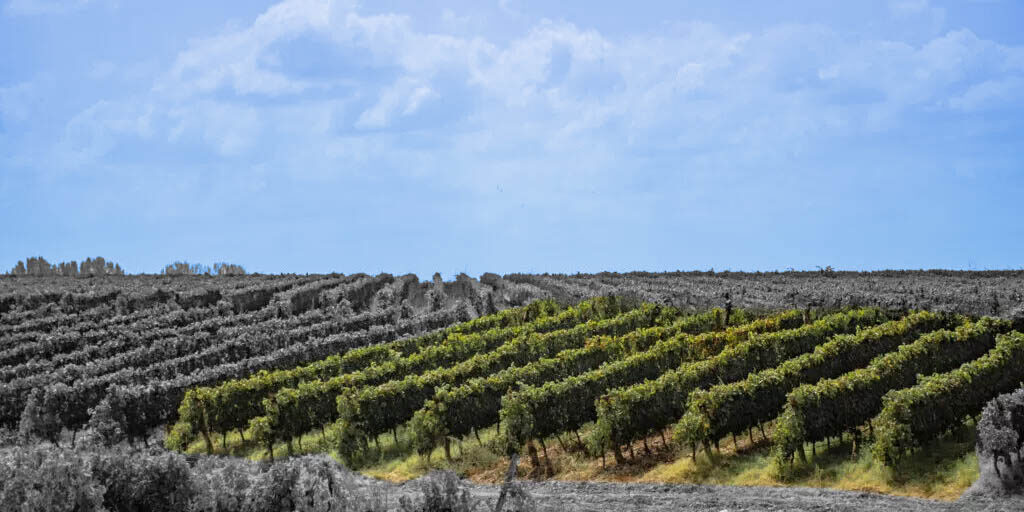 meu-terroir-1024x683-panorama-az meu-terroir-1024x683-panorama-az